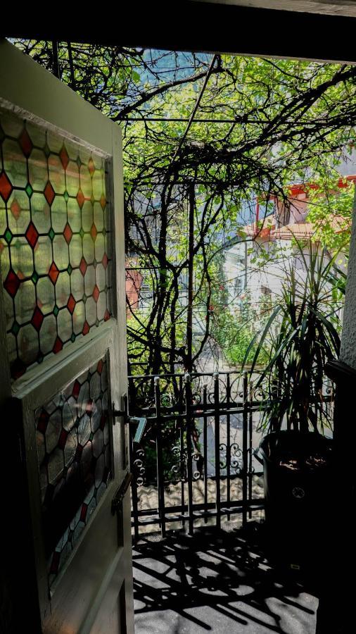 Belle Boutique Studio 브라쇼브 외부 사진